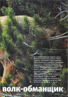 Журнал "Вокруг Света" №10 (2817). Октябрь 2008
