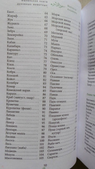 Мелисса Альварес: Маленькая книга духовных животных