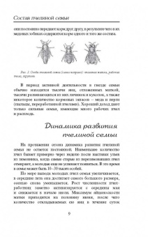 Пчеловодство для всех. Как перестать покупать мед