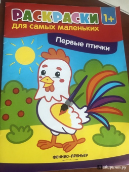 Первые птички. Книжка-раскраска