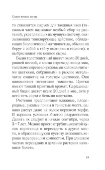 Галина Кизима: Красивый сад с весны до осени без особых усилий