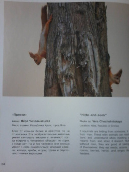 Россия - самая красивая страна. Фотоконкурс 2020