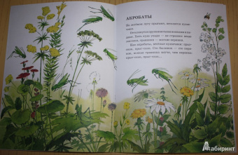 Анатолий Тумбасов: Телеграмма