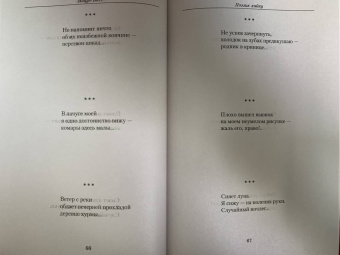 Мацуо Басё: Малое собрание сочинений