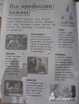 Елена Шейнина: Профессии