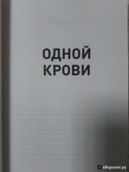 Роман Супер: Одной крови. Любовь сильнее смерти