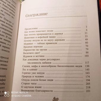 Петер Воллебен: Тайные связи в природе