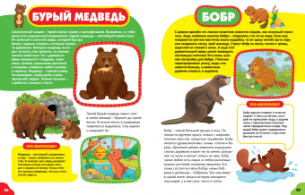 Анна Забирова: Животные для малышей