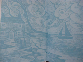 Рэйнор Винн: Дикая тишина