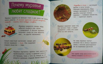 Анна Булгакова: Насекомые