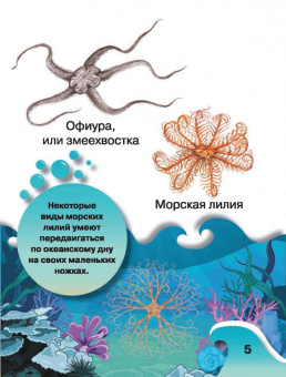 Светлана Пирожник: Обитатели подводного мира. 200 картинок