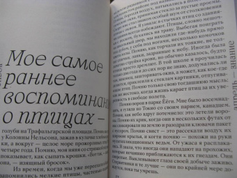 Кио Маклир: Птицы, искусство, жизнь. Год наблюдений