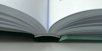 Артем Рудницкий: Верхом на тигре. Дипломатический роман в документах и диалогах