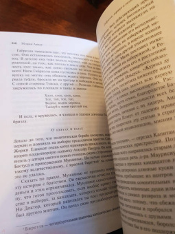 Жоржи Амаду: Габриэла, гвоздика и корица