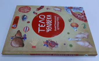 Дмитрий Лукашанец: Тело человека