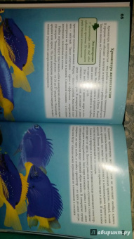 Лада Александрова: Хочу знать. Аквариумные рыбки