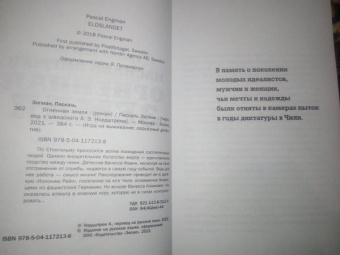 Паскаль Энгман: Огненная земля