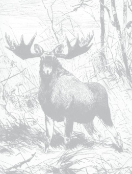 Олег Малов: Охота на парнокопытных