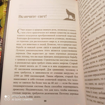 Петер Воллебен: Тайные связи в природе