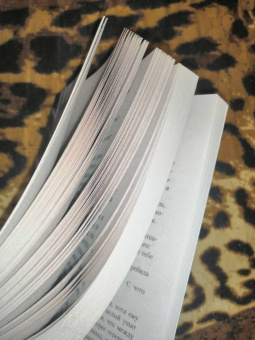 Гарсиа Саэнс де Уртури Эва: Жало белого города