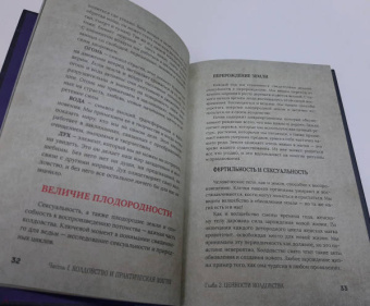 Тоня Браун: Колдовство. Дверь в иную реальность. Настольная книга ведьмы по основам магии