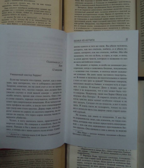 Аннабель Питчер: Облака из кетчупа