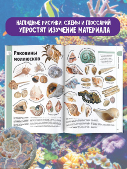 Анна Спектор: Минералы и драгоценные камни