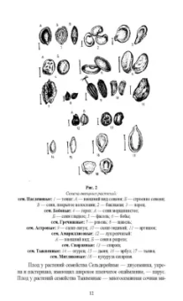 Вера Губанова: Овощеводство. Практикум. Учебное пособие для СПО