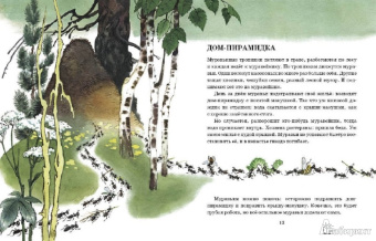 Анатолий Тумбасов: Телеграмма