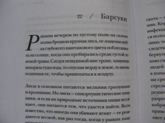 Рэйнор Винн: Дикая тишина