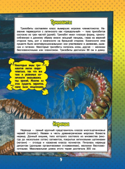 Ликсо, Кошевар: О подводном мире