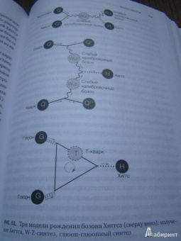 Лиза Рэндалл: Достучаться до небес. Научный взгляд на устройство вселенной