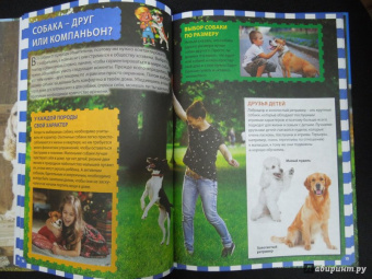 Собаки и щенки