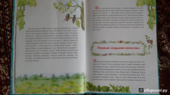 Бессонова, Бессонова: Приключения Суслика в стране Седьмого лепестка