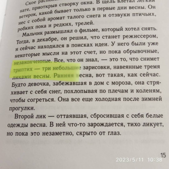 Елена Бодрова: Продавец счастья. Магия кинематографа, или Новые приключения Ское