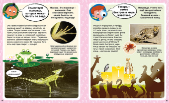 Кэти Франко: Ответы почемучкам. 100 вопросов обо всём на свете