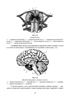 Позняковский, Дроздова, Влощинский: Физиология питания. Учебник