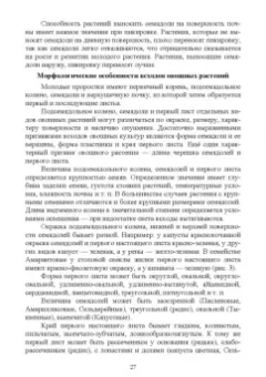 Вера Губанова: Овощеводство. Практикум. Учебное пособие для СПО