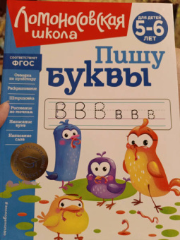 Наталия Володина: Пишу буквы. Для детей 5-6 лет