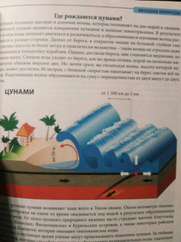 Людмила Соколова: Что? Где? Почему?