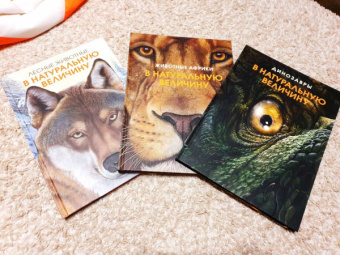 Раймунд Фрей: Динозавры в натуральную величину