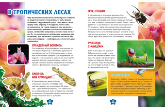 В мире насекомых. Детская энциклопедия
