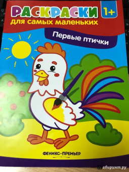 Первые птички. Книжка-раскраска