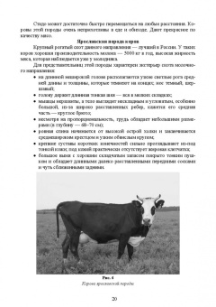 Ковалева, Здрабова, Киреева: Общая технология переработки сырья животного происхождения (мясо, молоко). Учебник для СПО