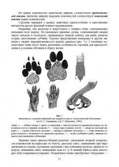 Анатолий Суворов: Основы полевых наблюдений. Полевое следопытство. Учебник для ВУЗов