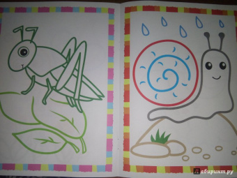 Первые букашки. Книжка-раскраска