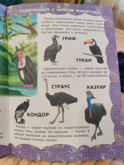 Живая природа