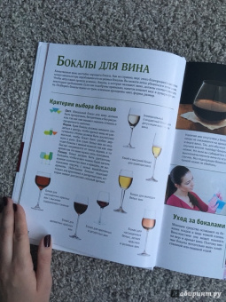 Марк Шпаковский: Вино. Большой иллюстрированный гид