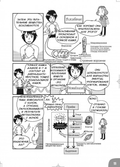 Сонода Масару: Занимательная наука о питании. Манга