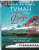Елена Ронина: Туман над Фудзи